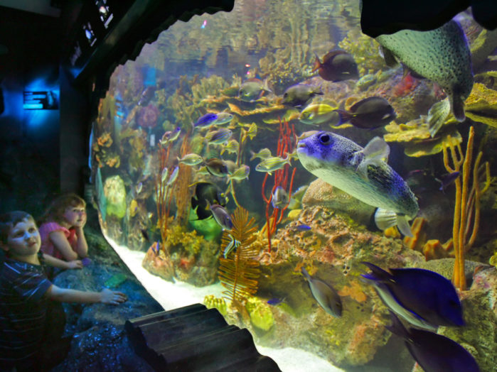 adventure-aquarium-visit-philadelphia