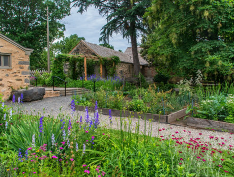 Serene scene at Bartram's Garden in Philadelphia