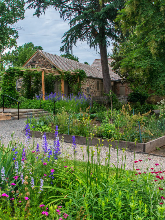 Serene scene at Bartram's Garden in Philadelphia