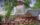 Bucks County Playhouse in New Hope
