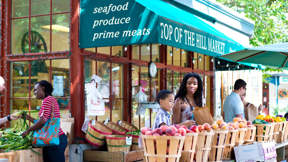 Chestnut Hill Philadelphia Neighborhoods