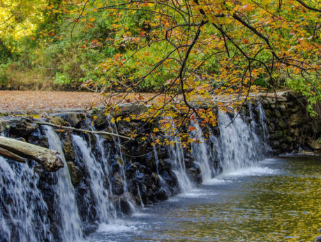Ridley Creek State Park