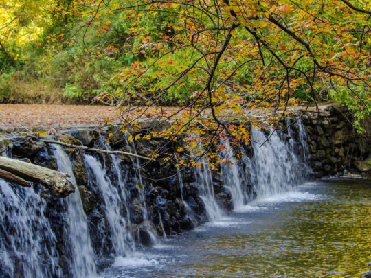 Parc d'État de Ridley Creek