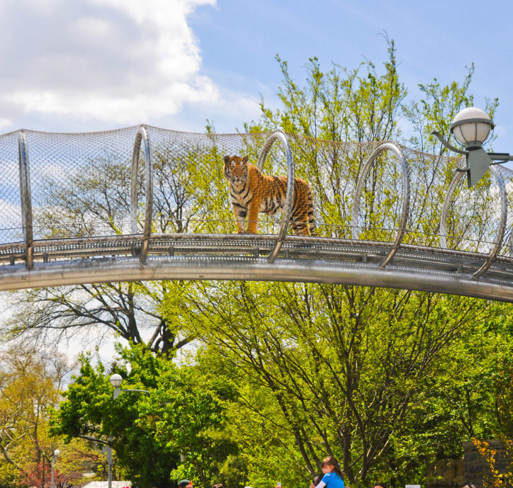 Philadelphia Zoo Visit Philadelphia
