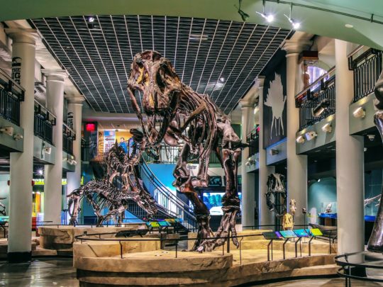 Dinosaur Hall at The Academy of Natural Sciences of Drexel University in Philadelphia