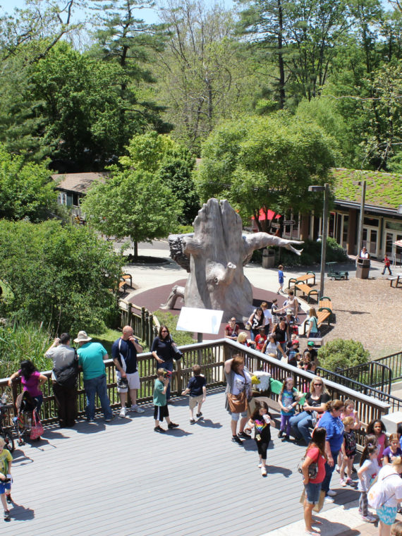 Elmwood Park Zoo