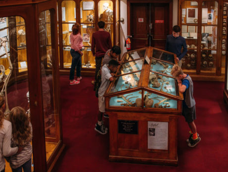 Mutter Museum van het College of Physicians of Philadelphia