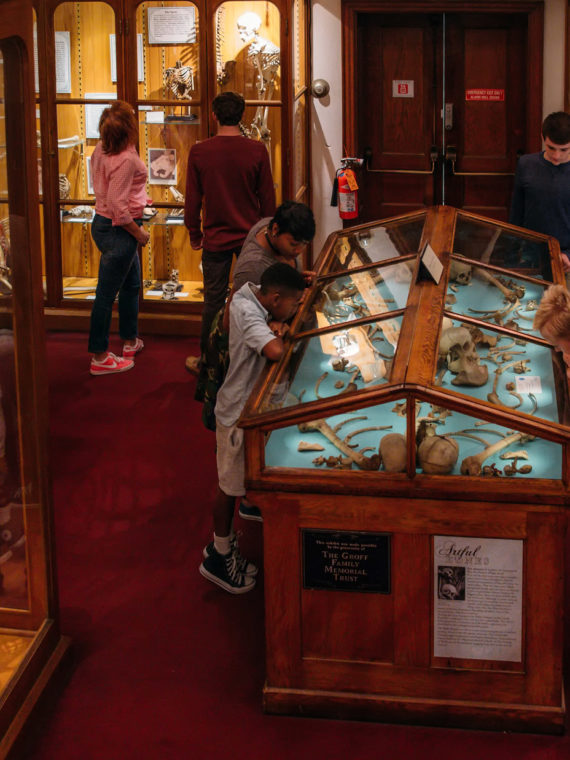 Mutter Museum of the College of Physicians of Philadelphia