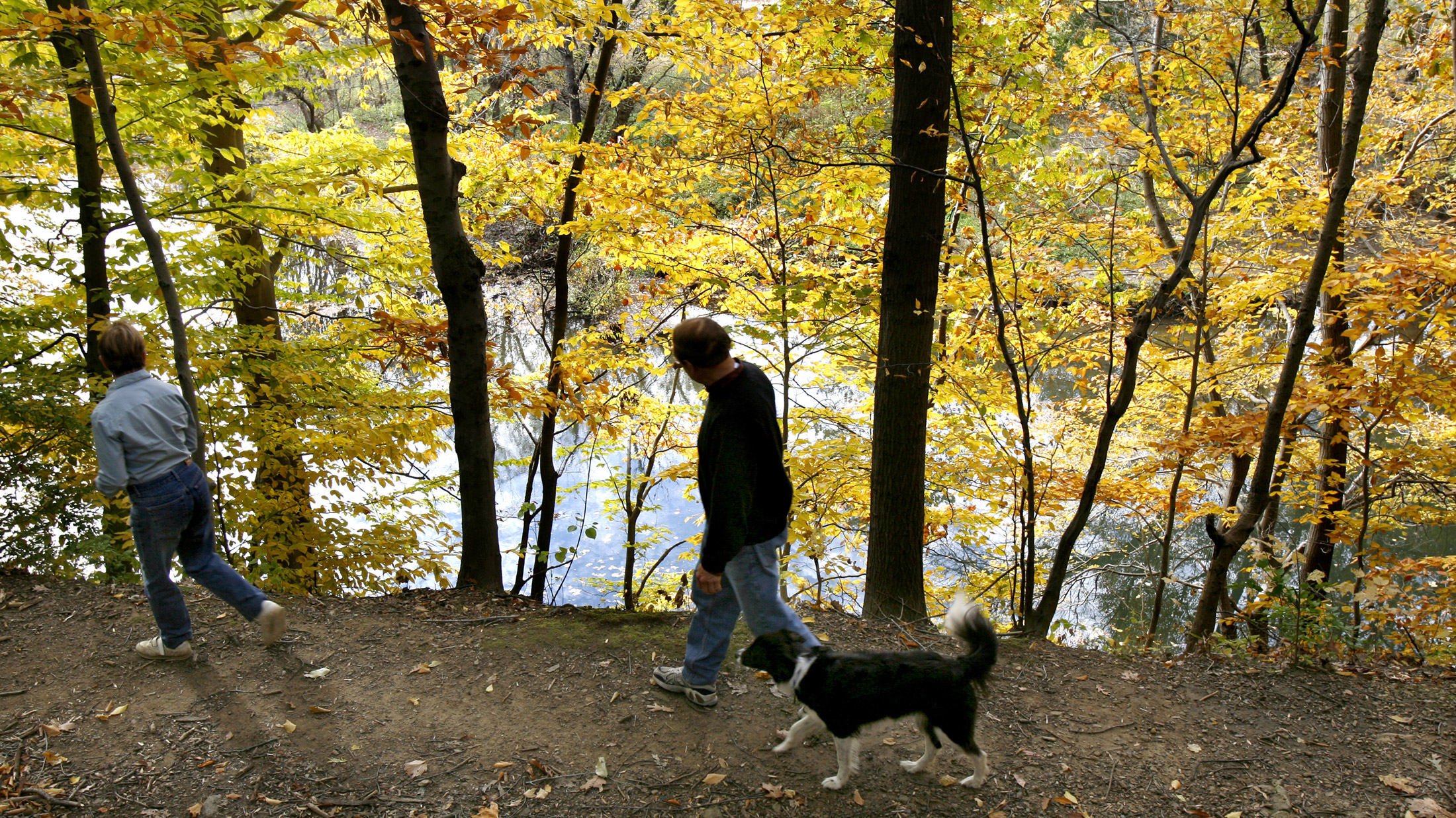 Person walking dog in Pennypack Park