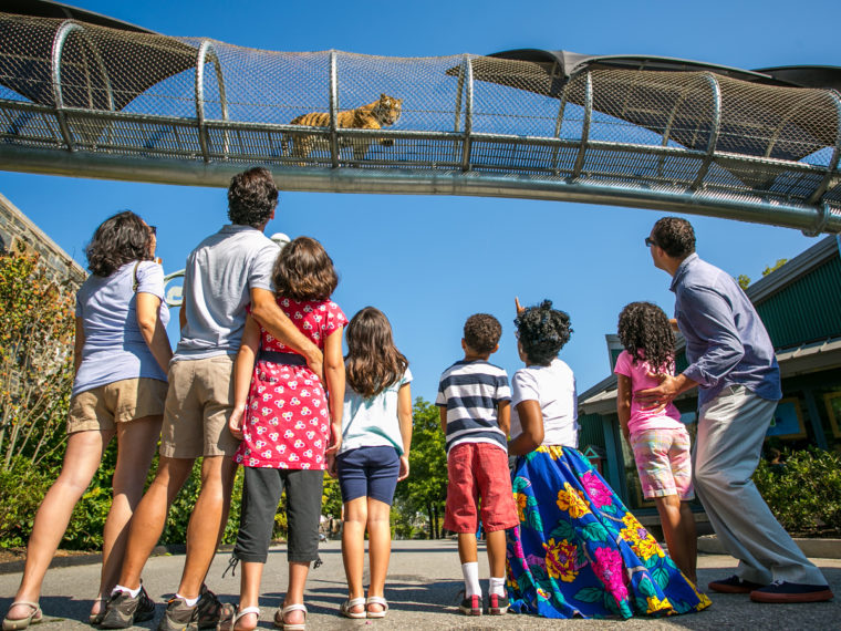 Philadelphia Zoo Visit Philadelphia