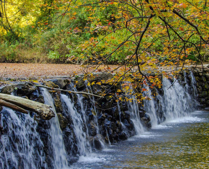 The 34 Best Spots to View Fall Foliage in Greater Philadelphia | Visit ...
