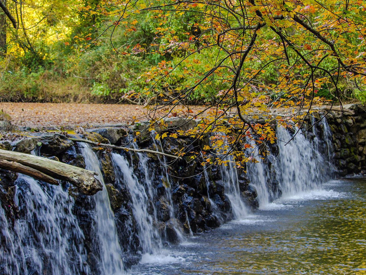 The 31 Best Spots to View Fall Foliage in Greater Philadelphia — Visit