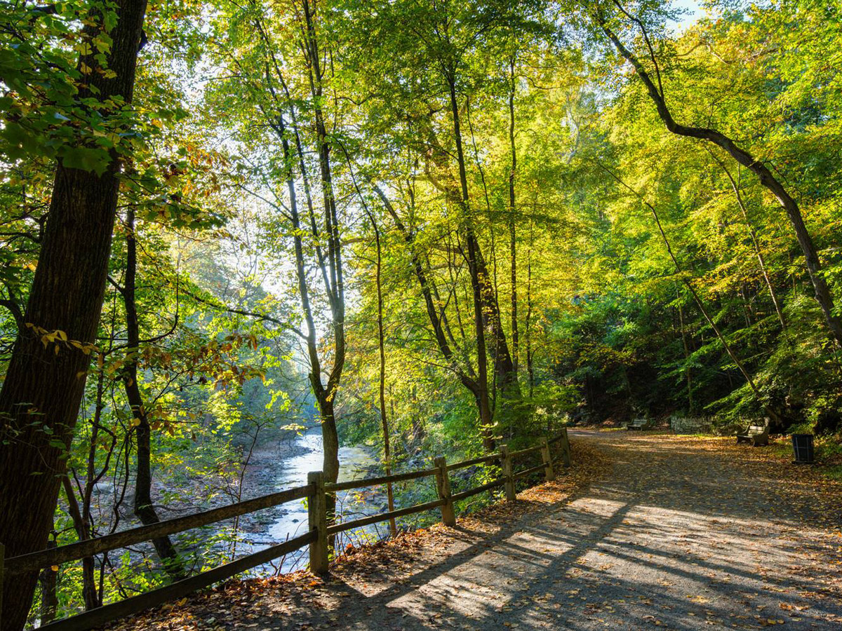 Forbidden Drive in Wissahickon Valley Park