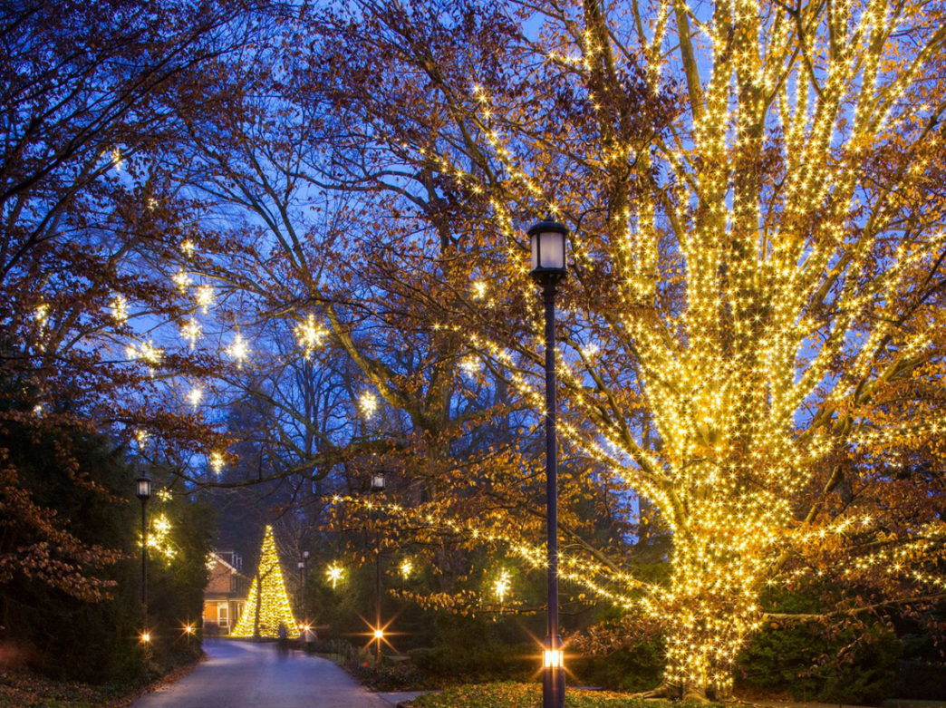 Christmas Lights at A Longwood Christmas