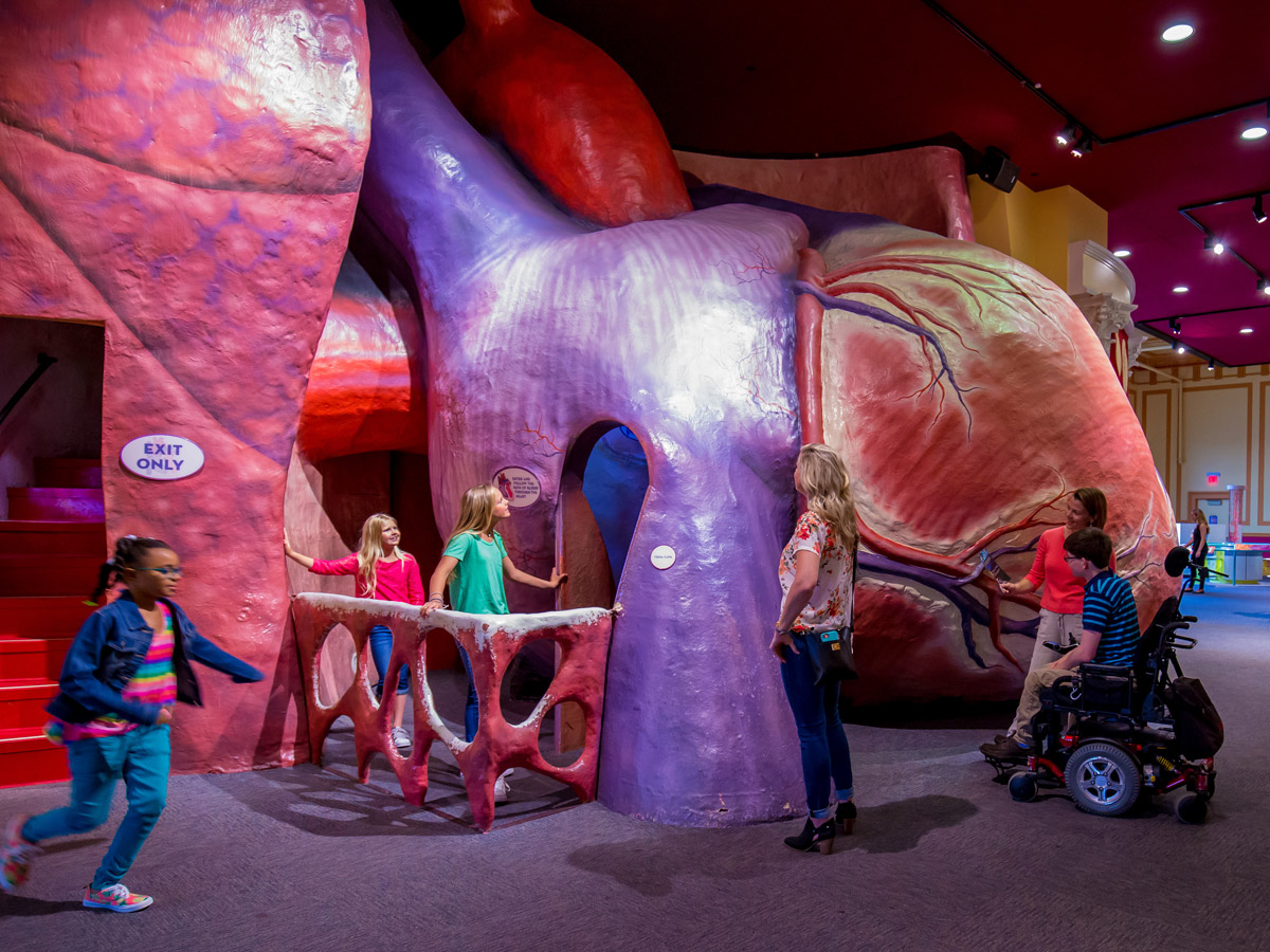 Kids crawl inside the Giant Heart, one of many interactive elements at The Franklin Institute in Philadelphia.