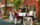 Horse and Carriage Tour
