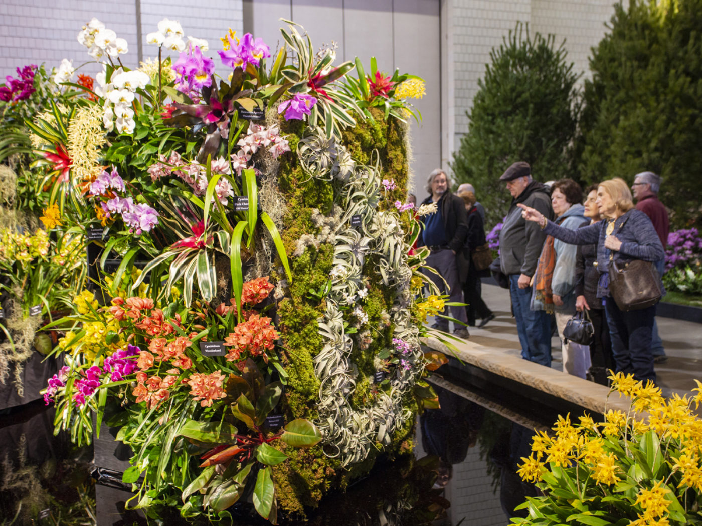 Visitantes admirando flores no Philadelphia Flower Show