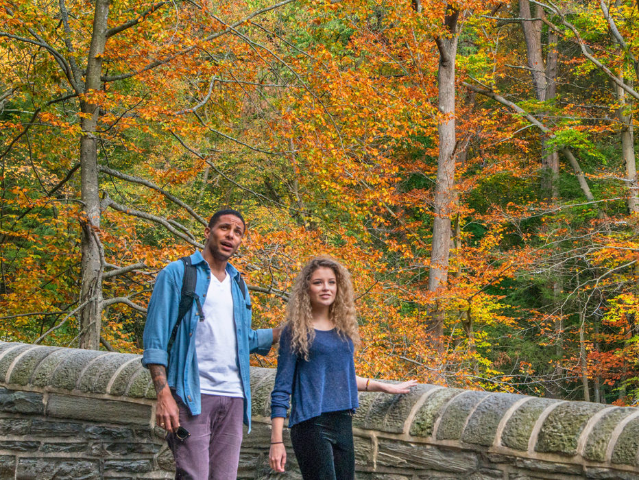 Fall foliage in Wissahickon Valley Park