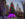 Christmas tree at City Hall in Philadelphia