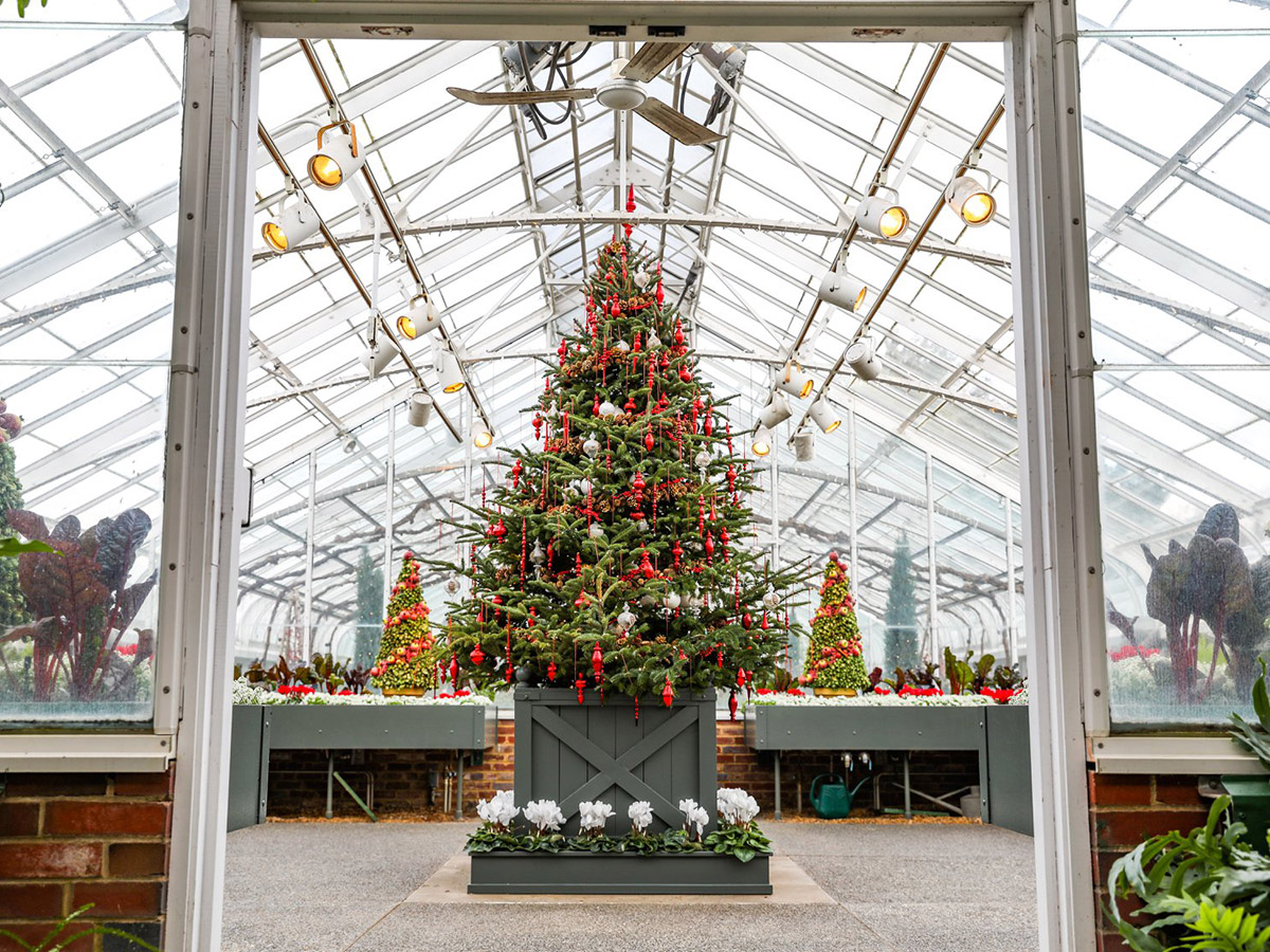 Longwood Gardens at Christmas