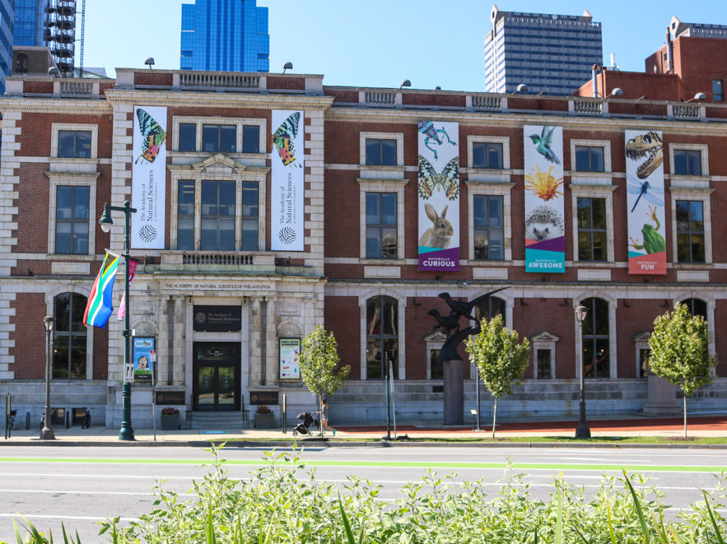 Exterior of the Academy of Natural Sciences