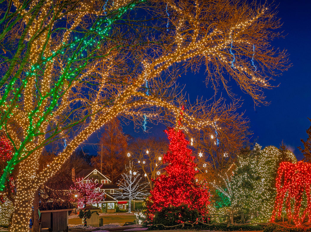 Top Things To Do In Philadelphia The Week Of Thanksgiving 2020 Visit Philadelphia