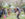 Cherry Blossom Festival in Fairmount Park in Philadelphia