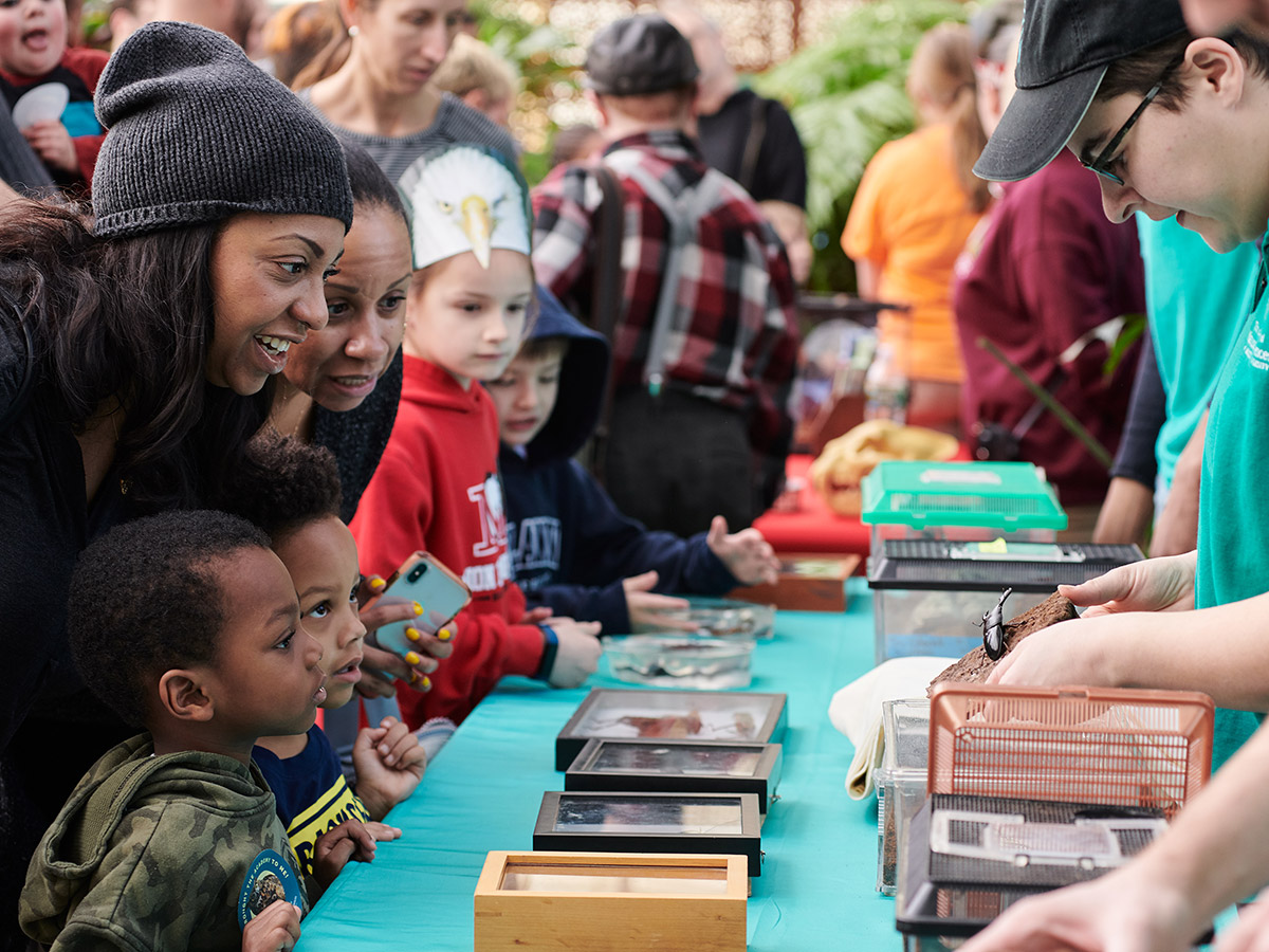 Getaway at the Greenhouse in Fairmount Park, Philadelphia