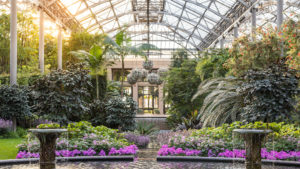 Flowers bloom inside the Conservatory at Longwood Gardens