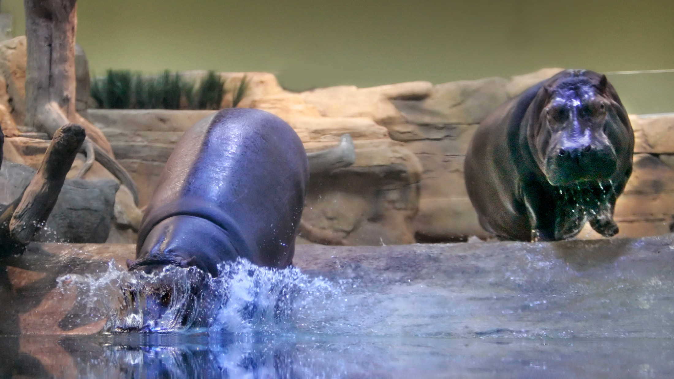 30 Things to Do Along Greater Philadelphia's Delaware River Waterfront