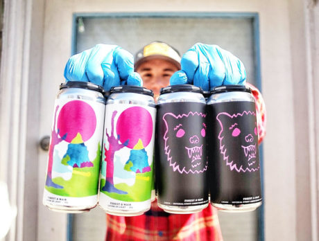 Craft Beer in cans at Forest & Main Brewery in Montgomery County, PA