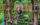 TreeTop Quest at Fairmount Park