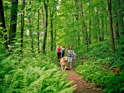 A family walks through Ridley Creek State Park in Delaware County, Pennsylvania