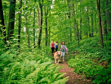 Una familia pasea por el Parque Estatal de Ridley Creek en Delaware County, Pensilvania