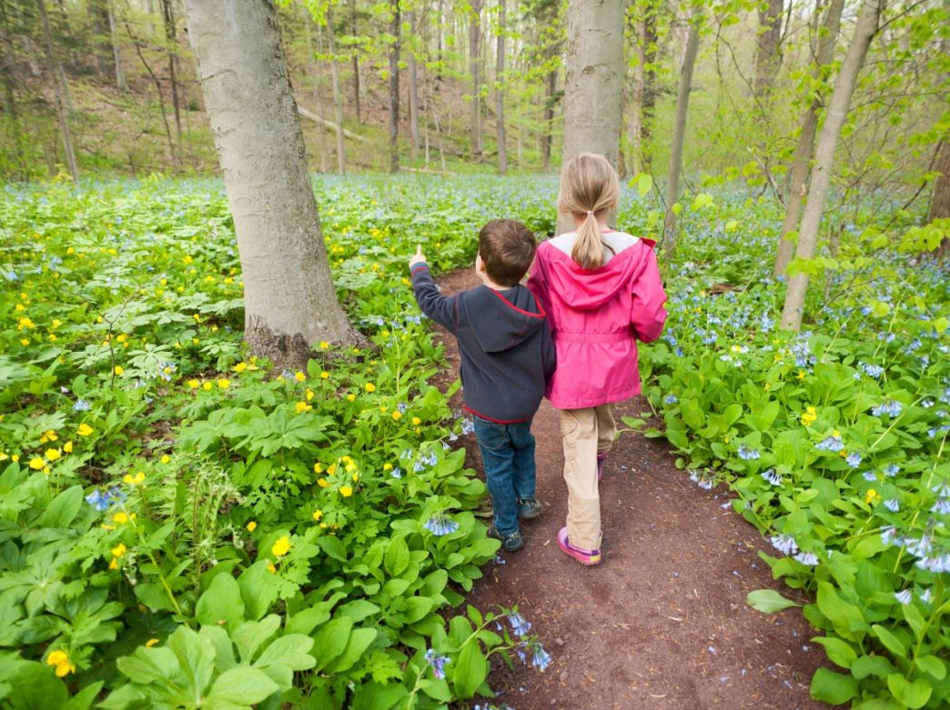 Two kids at Bowman's Hill Wildflower Preserve