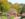 Longwood Gardens in Chester County