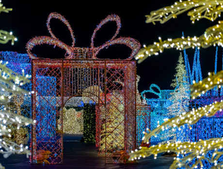 Colorful holiday lights at Winter on Broad Street in Philadelphia