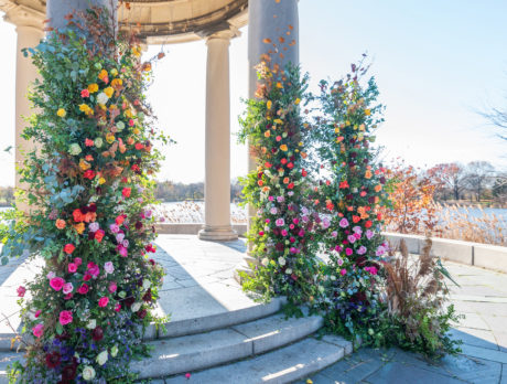 Colorful flowers climb the pillars of the white gazebo in South Philadelphia's FDR Park