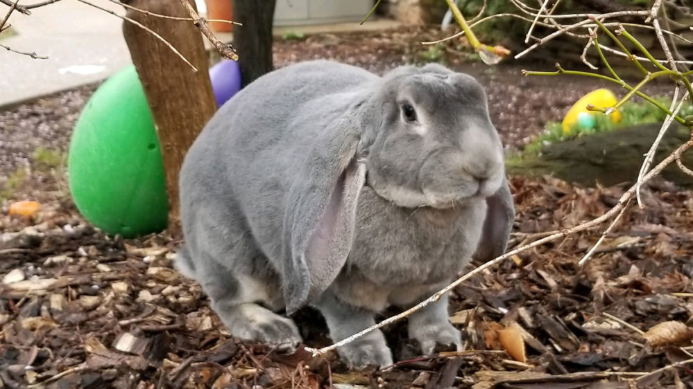 Things to Do in Philadelphia This Week & Weekend — Visit Philadelphia