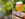 Split image of a trail in Wissahickon Valley Park and a beer at Wissahickon Brewing Company in Philadelphia
