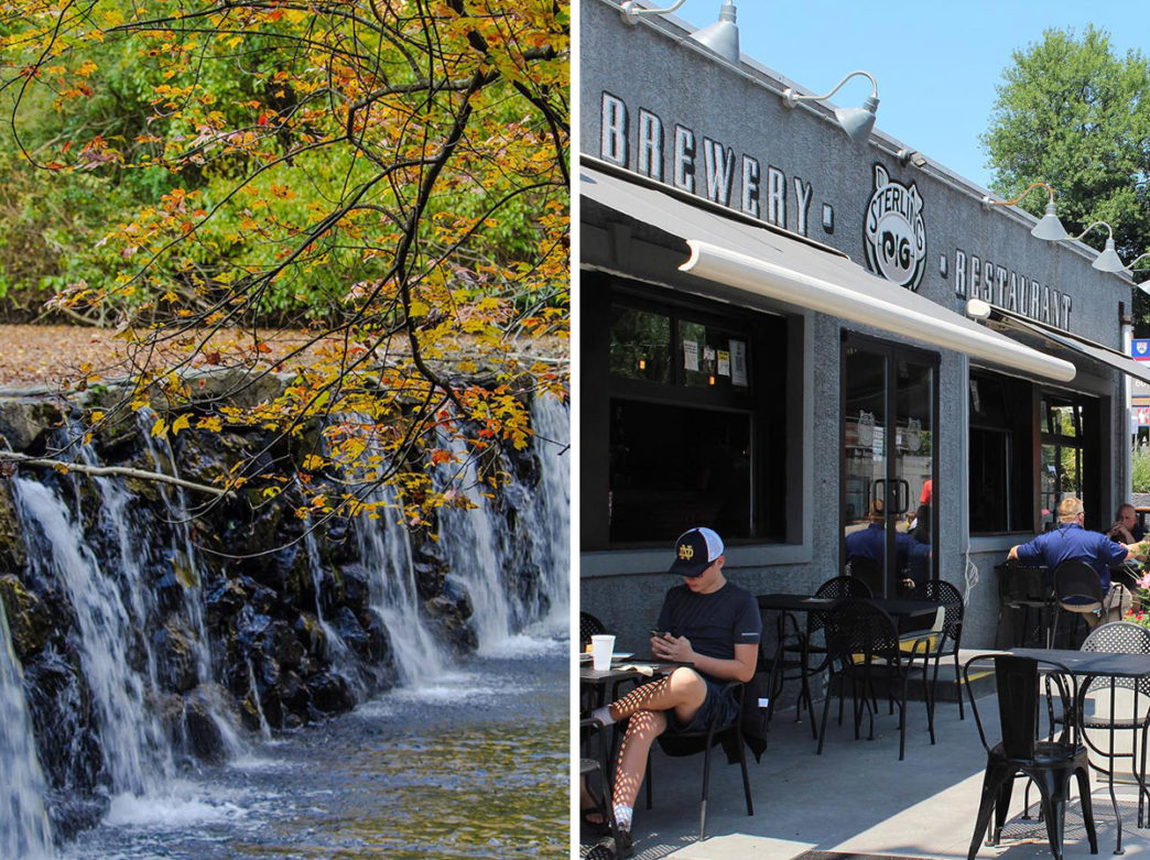 Split image of Ridley Creek State Park and Sterling Pig Brewery