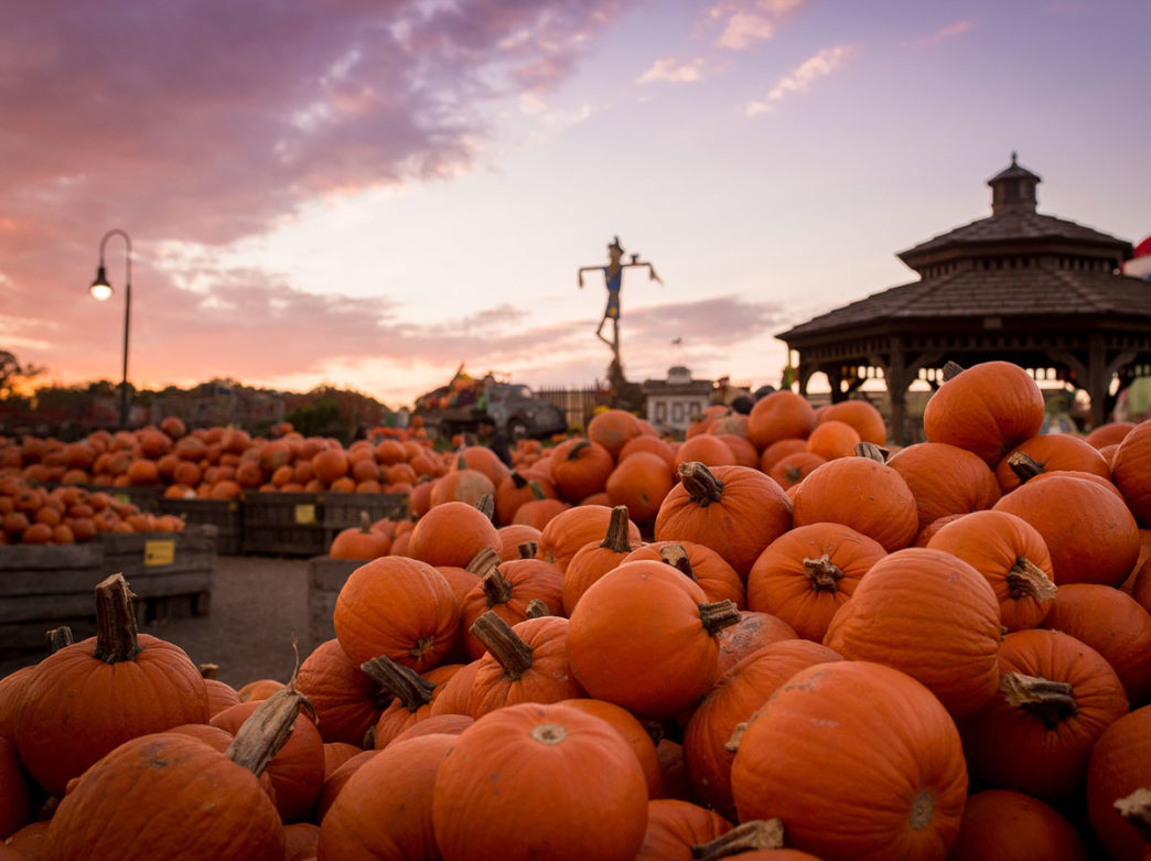 Pumpkins and scarecrows welcome fall visitors to Linvilla Orchards outside Philadelphia