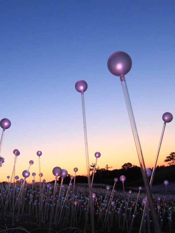 A field of lights at Longwood Gardens