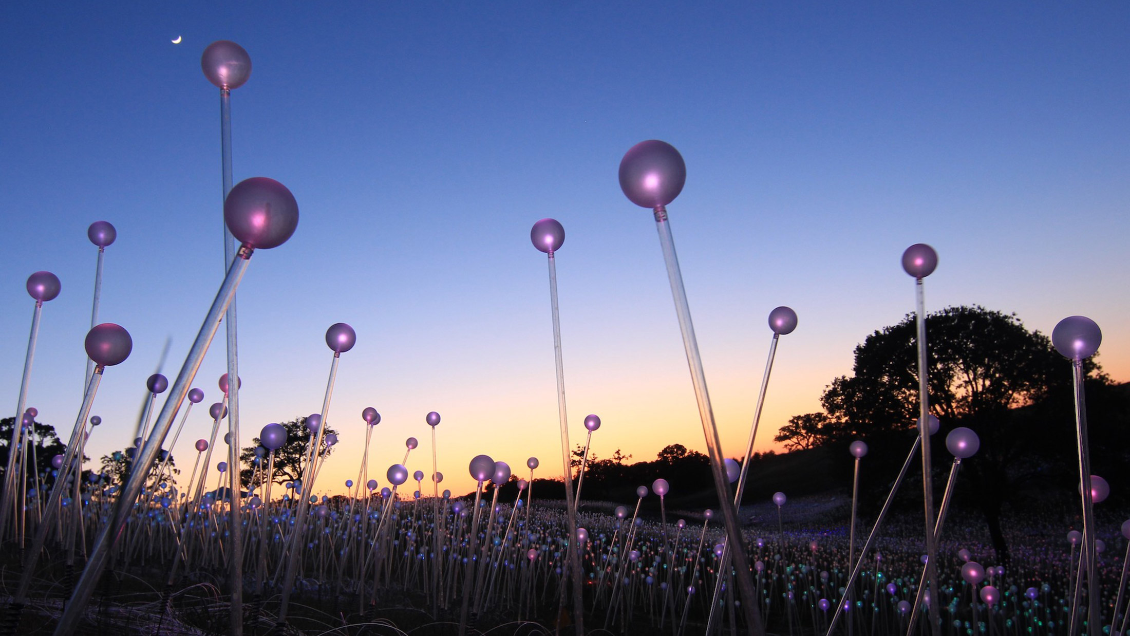 Um campo de luzes em Longwood Gardens