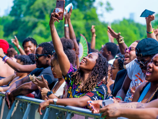 A crowd of people smiling at The Roots Picnic