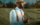 A person wearing a hat holds a golf club and a cigar