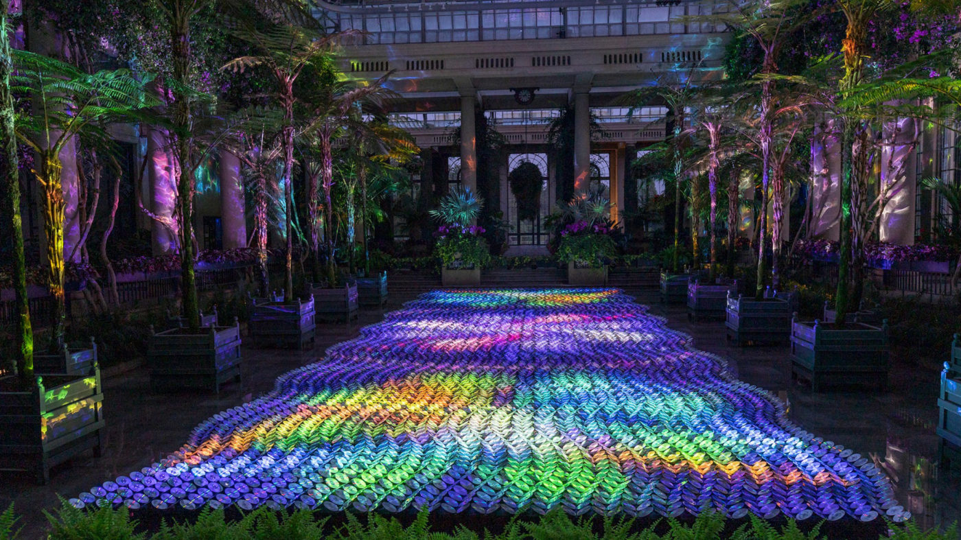 Guide to Longwood Gardens' Stunning New Light Exhibit Visit Philadelphia