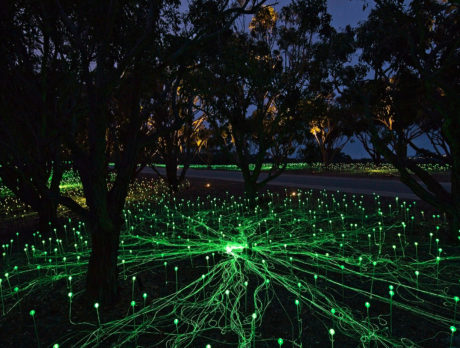Lights branch out for a central source on the ground during dusk