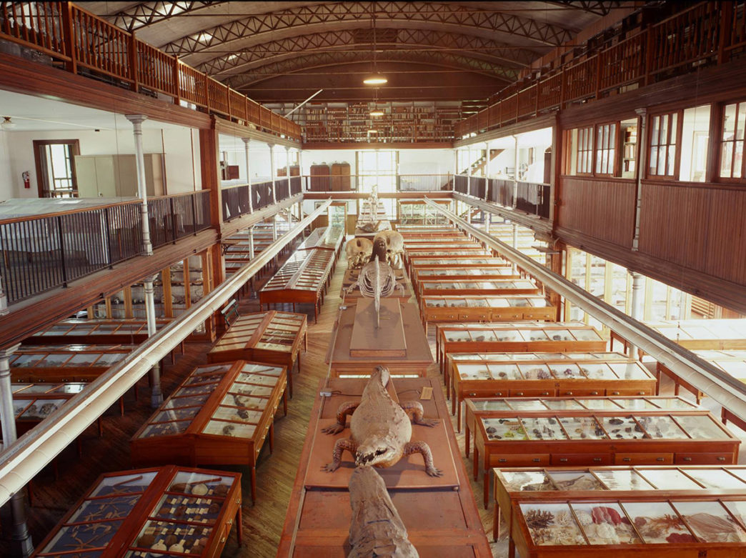 The interior of Wagner Free Institute of Science