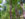 A group of people works through the aerial obstacle course at Treetop Quest in Philadelphia